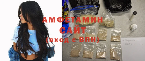 прущие грибы Ельня