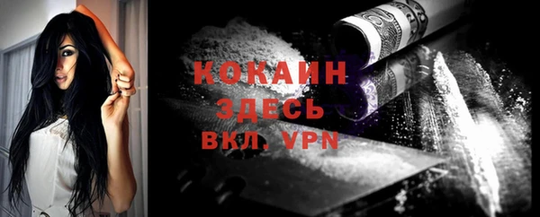 прущие грибы Ельня