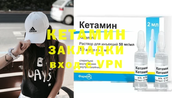 прущие грибы Ельня