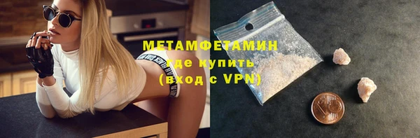 прущие грибы Ельня