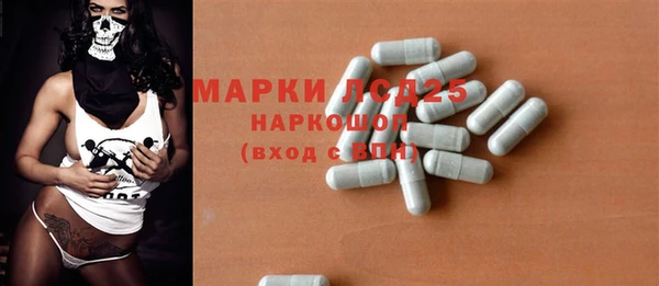 прущие грибы Ельня
