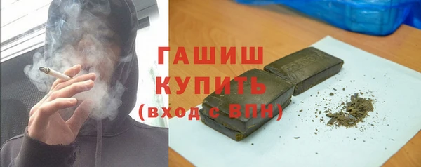 прущие грибы Ельня