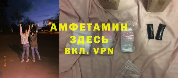 прущие грибы Ельня
