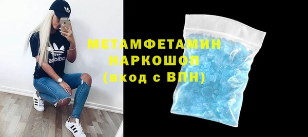 прущие грибы Ельня