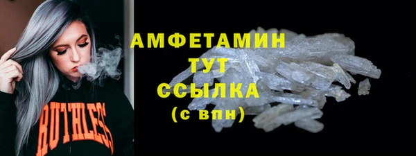 прущие грибы Ельня
