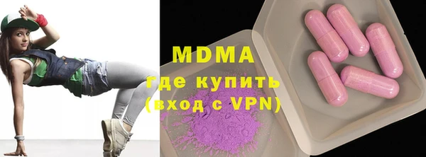 прущие грибы Ельня