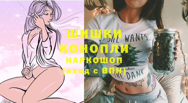 прущие грибы Ельня