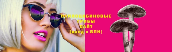 прущие грибы Ельня