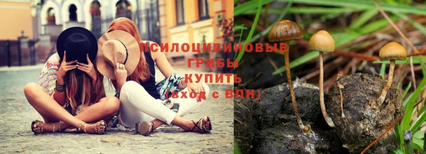 соль ск Елизово