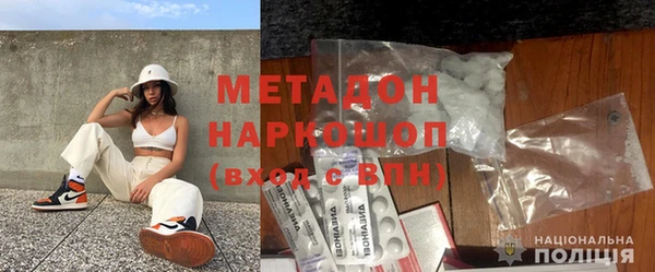 прущие грибы Ельня