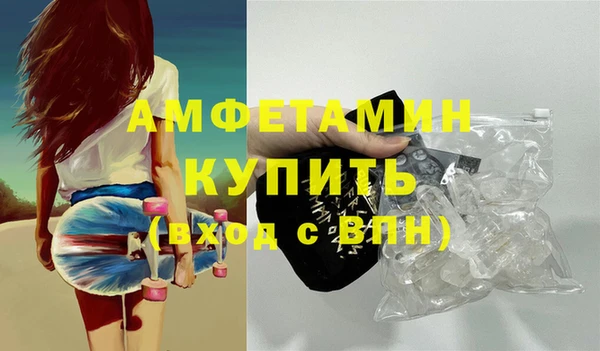 прущие грибы Ельня