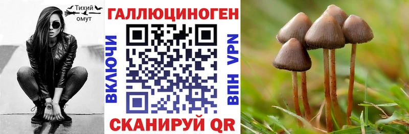 Купить где  Демидов  Галлюциногенные грибы ЛСД 